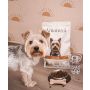 Amanova Dog Adult Mini Exquisite Chicken - kurczak 7kg - 6