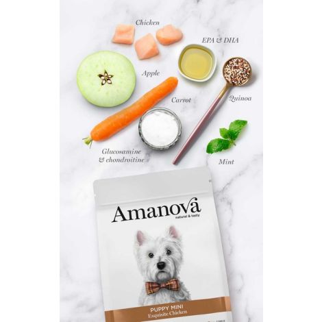 Amanova Dog Puppy Mini Exquisite Chicken - kurczak 2kg - 2