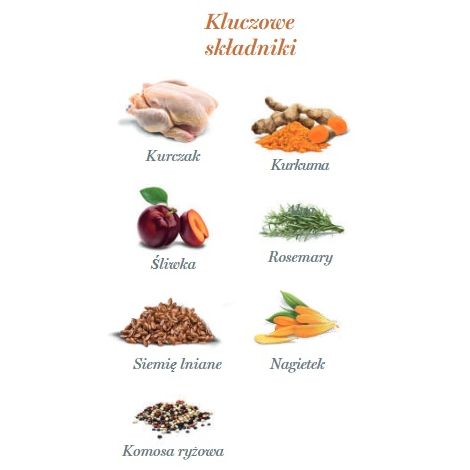 Amanova Dog Adult Exquisite Chicken - kurczak saszetka 100g [P03] - 4