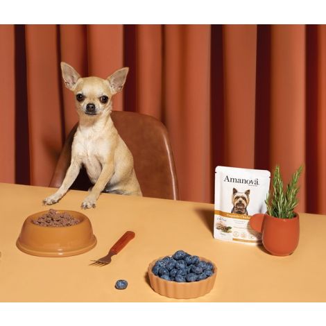 Amanova Dog Adult Exquisite Chicken - kurczak saszetka 100g [P03] - 5