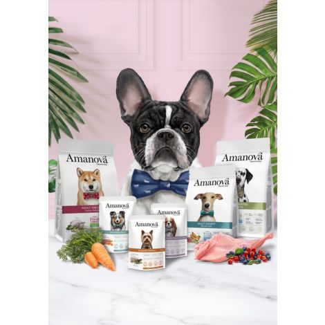 Amanova Dog Adult Exquisite Chicken - kurczak saszetka 100g [P03] - 6