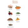 Amanova Dog Adult Exquisite Chicken - kurczak saszetka 100g [P03] - 4
