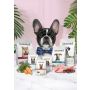 Amanova Dog Adult Exquisite Chicken - kurczak saszetka 100g [P03] - 6