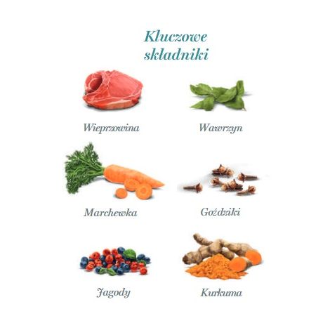 Amanova Dog Adult Iberian Pork - wieprzowina saszetka 300g [P04] - 4