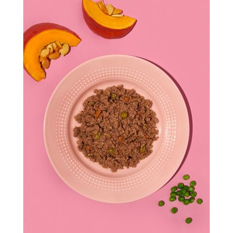 Amanova Dog Adult Tasty Salmon & Turkey - łosoś i indyk saszetka 100g [P06] - 2