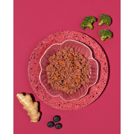 Amanova Dog Adult Turkey Delight - indyk saszetka 100g [P07] - 2