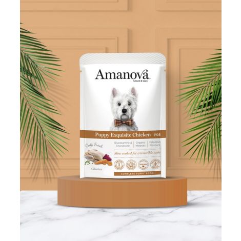 Amanova Dog Puppy Exquisite Chicken - kurczak saszetka 100g [P08] - 3
