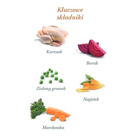 Amanova Dog Puppy Exquisite Chicken - kurczak saszetka 100g [P08] - 4