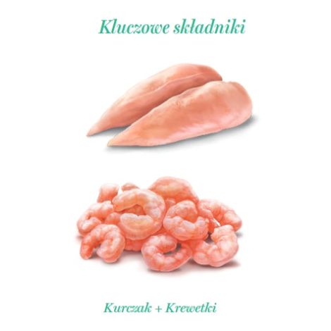 Amanova Cat Chicken & Shrimps - kurczak i krewetki w galaretce puszka 70g [06] - 4