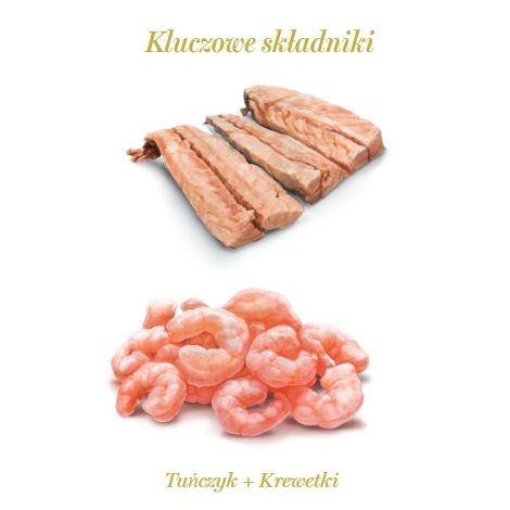 Amanova Cat Tuna & Shrimps - tuńczyk i krewetki w galaretce puszka 70g [10] - 4