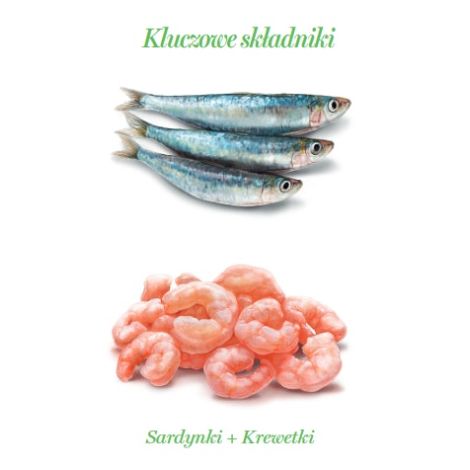 Amanova Cat Sardine & Shrimps - sardynki i krewetki w galaretce puszka 70g [15] - 4