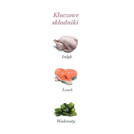 Amanova Cat Tasty Salmon & Turkey - łosoś i indyk saszetka 85g [P11] - 4