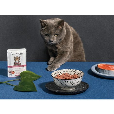 Amanova Cat Tasty Salmon & Turkey - łosoś i indyk saszetka 85g [P11] - 5