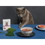 Amanova Cat Tasty Salmon & Turkey - łosoś i indyk saszetka 85g [P11] - 5