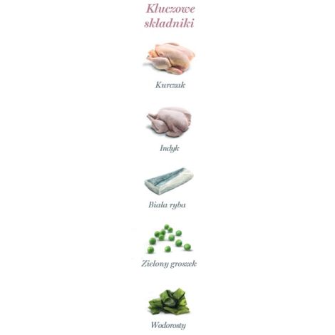 Amanova Cat Sterilised Fish & Turkey - biała ryba i indyk saszetka 85g [P12] - 4