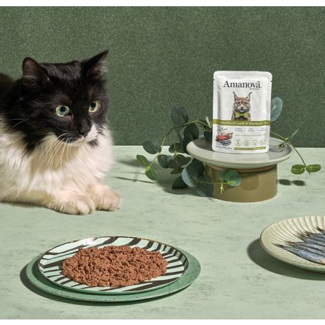 Amanova Cat Sterilised Lamb & Sardines - jagnięcina i sardynki saszetka 85g [P13] - 5