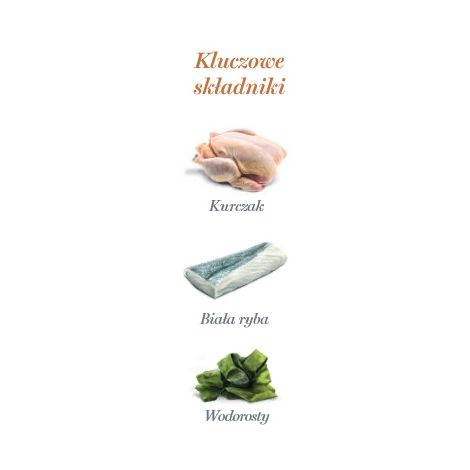 Amanova Cat Kitten Chicken & Fish - kurczak i biała ryba saszetka 85g [P09] - 4