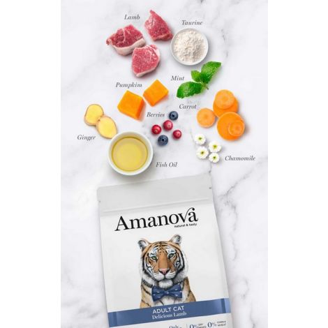 Amanova Cat Adult Delicious Lamb - jagnięcina 1,5kg - 2