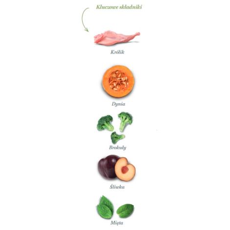 Amanova Cat Adult Divine Rabbit - królik 1,5kg - 4