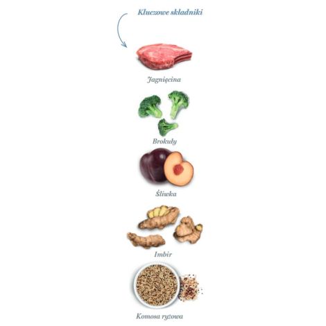 Amanova Cat Sterilised Delicious Lamb - jagnięcina 300g - 4