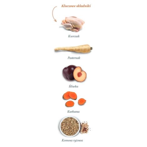 Amanova Cat Sterilised Exquisite Chicken - kurczak 300g - 4