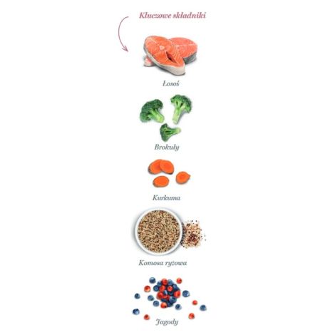 Amanova Cat Sterilised Salmon Deluxe - łosoś 300g - 4