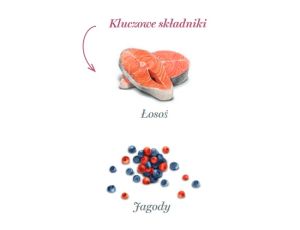 Amanova Dog Salmon Bites - łosoś 100g - 2