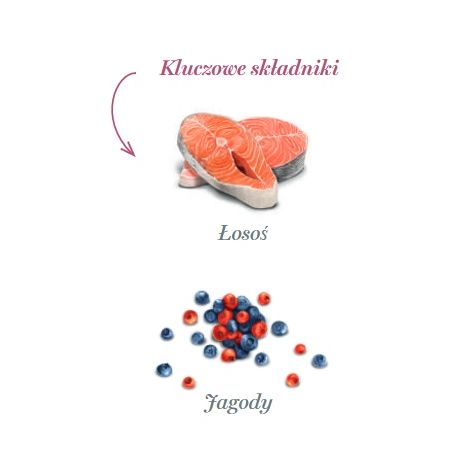 Amanova Dog Salmon Bites - łosoś 100g - 2