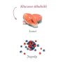 Amanova Dog Salmon Bites - łosoś 100g - 2