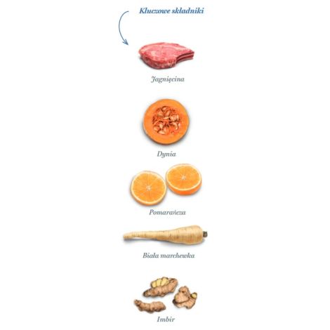 Amanova Dog Adult Sensitive Delicious Lamb - jagnięcina 10kg - 4