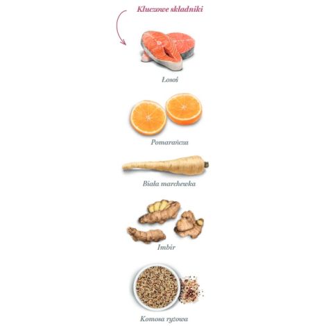 Amanova Cat Adult Salmon Deluxe - łosoś 6kg - 4