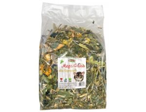 Alegia Mega Paka dla szynszyli 650g
