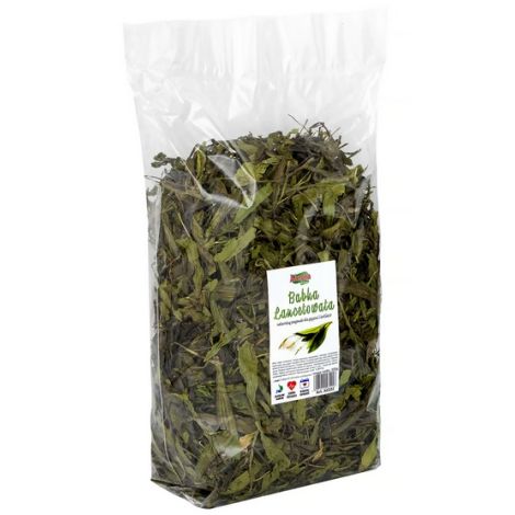 Alegia Babka lancetowata 300g - 2