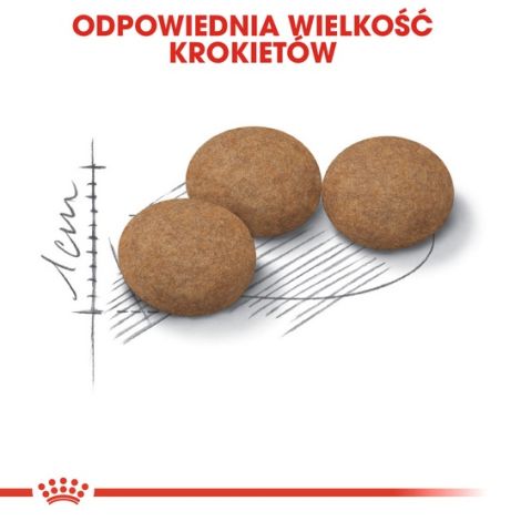 Royal Canin Ageing +12 Sterilised karma sucha dla kotów dojrzałych, sterylizowanych 400g - 6