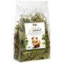 Alegia Natural Zielone ziółka dla kawii domowej 100g - 2