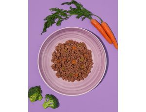 Amanova Dog Adult Brilliant Beef & Chicken - wołowina i kurczak saszetka 100g [P01] - 2