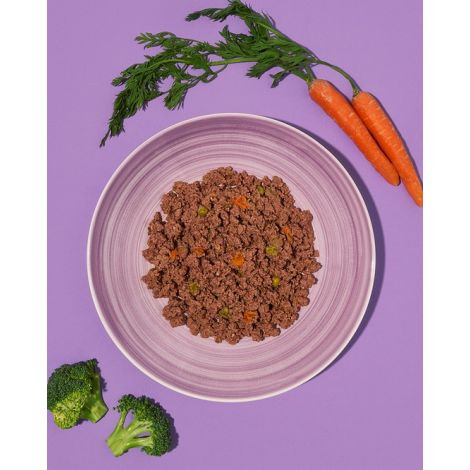 Amanova Dog Adult Brilliant Beef & Chicken - wołowina i kurczak saszetka 100g [P01] - 2