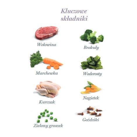 Amanova Dog Adult Brilliant Beef & Chicken - wołowina i kurczak saszetka 100g [P01] - 4