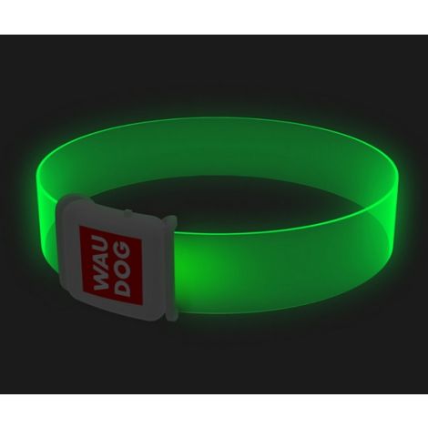 Collar WauDog LED Obroża z podświetleniem LED, klamra magnetyczna, 25mm/45cm - 3