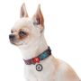 Collar WauDog Nylon Obroża nylonowa z QR-paszportem, plastikowy fastex, wzór LATO, 20mm/28-40cm - 3