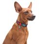 Collar WauDog Nylon Obroża nylonowa z QR-paszportem, plastikowy fastex, wzór LATO, 20mm/28-40cm - 4