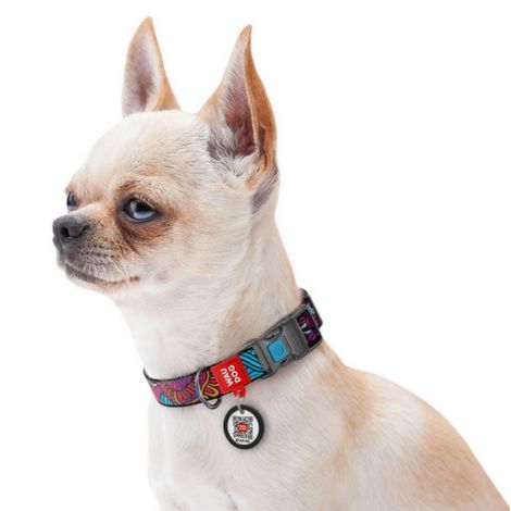 Collar WauDog Nylon Obroża nylonowa z QR-paszportem, plastikowy fastex, wzór LATO, 25mm/37-58cm - 3