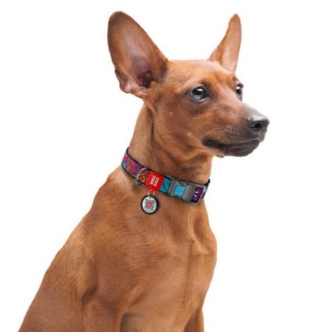 Collar WauDog Nylon Obroża nylonowa z QR-paszportem, plastikowy fastex, wzór LATO, 25mm/37-58cm - 4