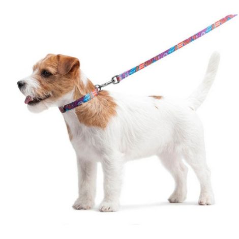 Collar WauDog Nylon Obroża nylonowa z QR-paszportem, plastikowy fastex, wzór LATO, 25mm/37-58cm - 5