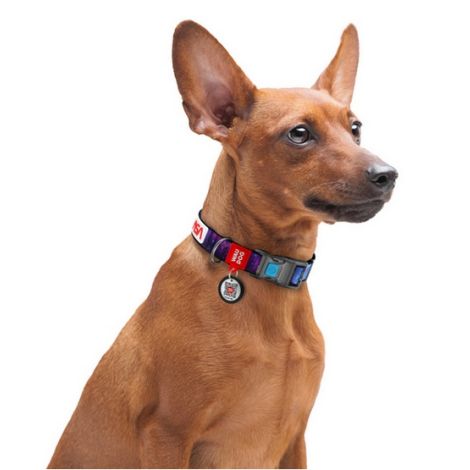 Collar WauDog Nylon Obroża nylonowa z QR-paszportem, plastikowy fastex, wzór NASA21, 15mm/25-35cm - 4