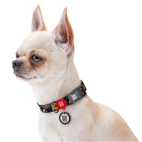 Collar WauDog Nylon Obroża nylonowa z QR-paszportem, plastikowy fastex, wzór POMARAŃCZE, 20mm/28-40cm - 3