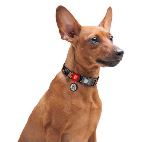 Collar WauDog Nylon Obroża nylonowa z QR-paszportem, plastikowy fastex, wzór POMARAŃCZE, 20mm/28-40cm - 4
