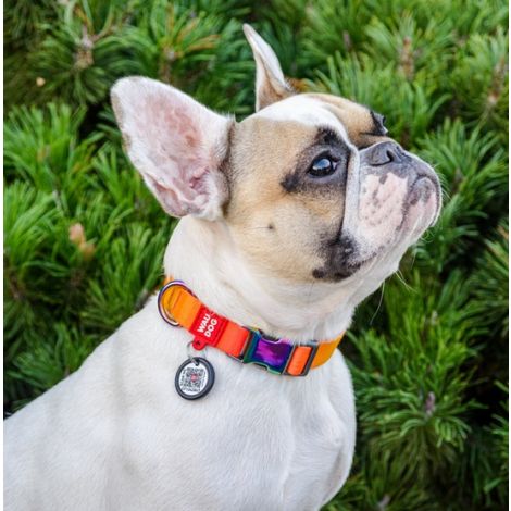 Collar WauDog Recycled Obroża nylonowa z QR-paszportem, gradient L 25mm/33-49cm pomarańczowy - 3
