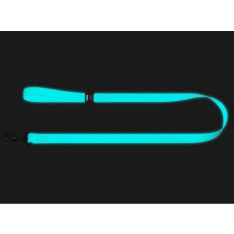 Collar WauDog Waterproof Smycz wodoodporna akumulująca światło M 20mm/183cm - 4