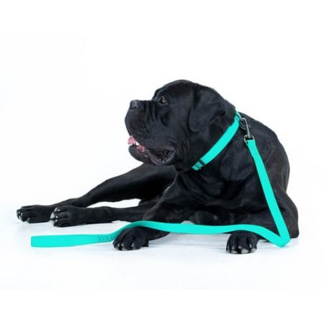 Collar WauDog Waterproof Smycz wodoodporna akumulująca światło M 20mm/183cm - 6